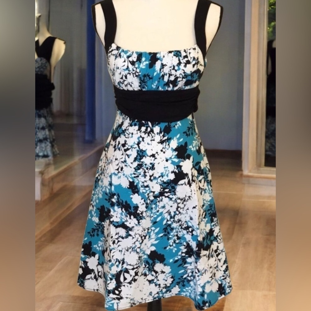 B. Smart Y2K Sleeveless Floral Poplin Dress Umpire waist Blue and White Size 4